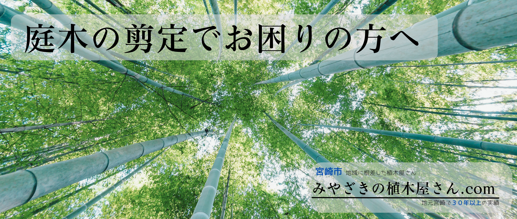 ※画像名