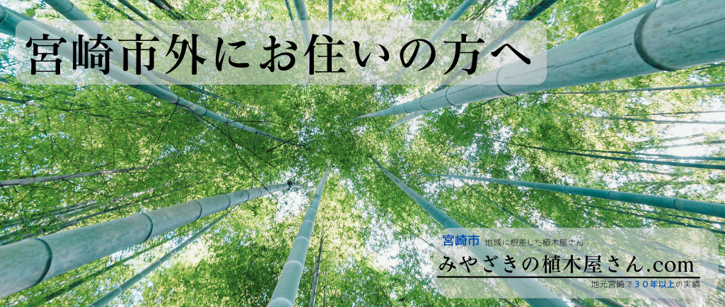 ※画像名