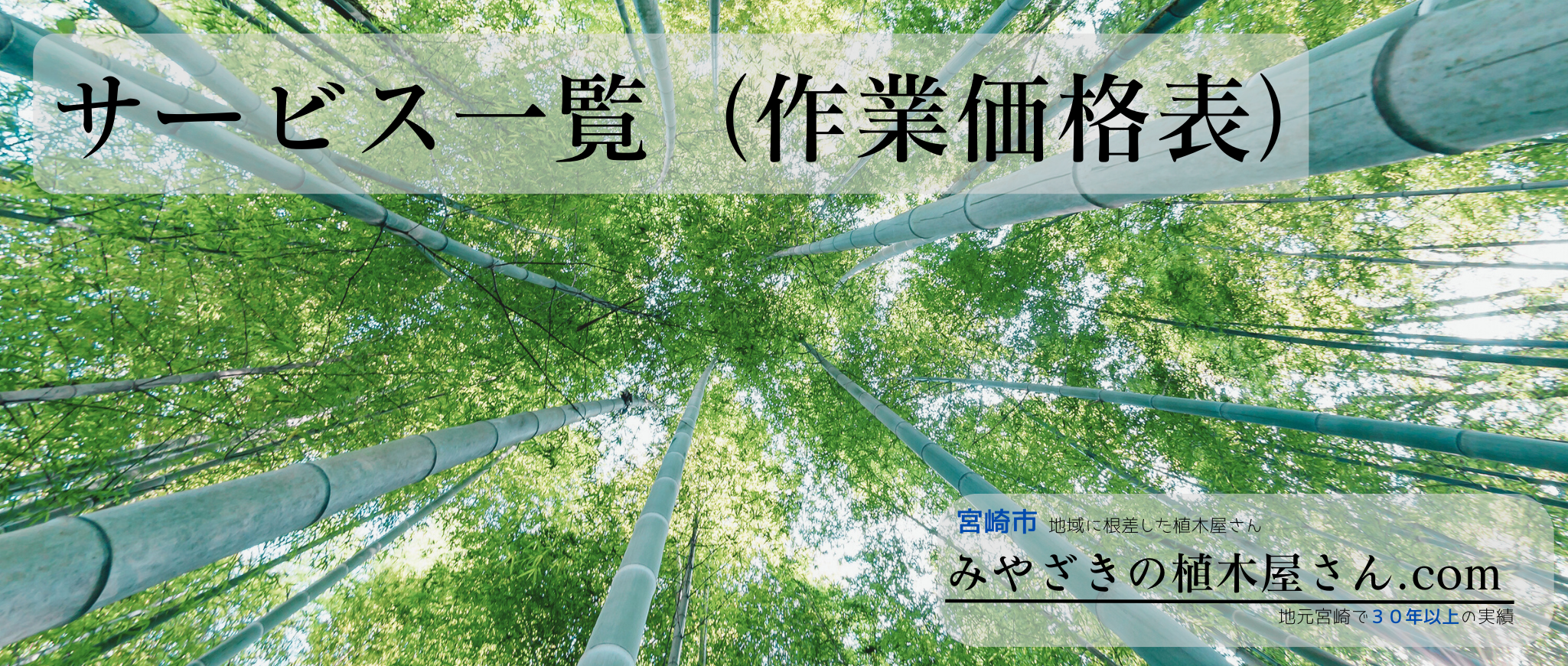 ※画像名