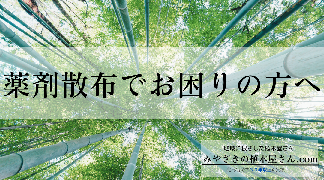 ※画像名