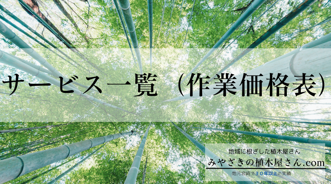 ※画像名