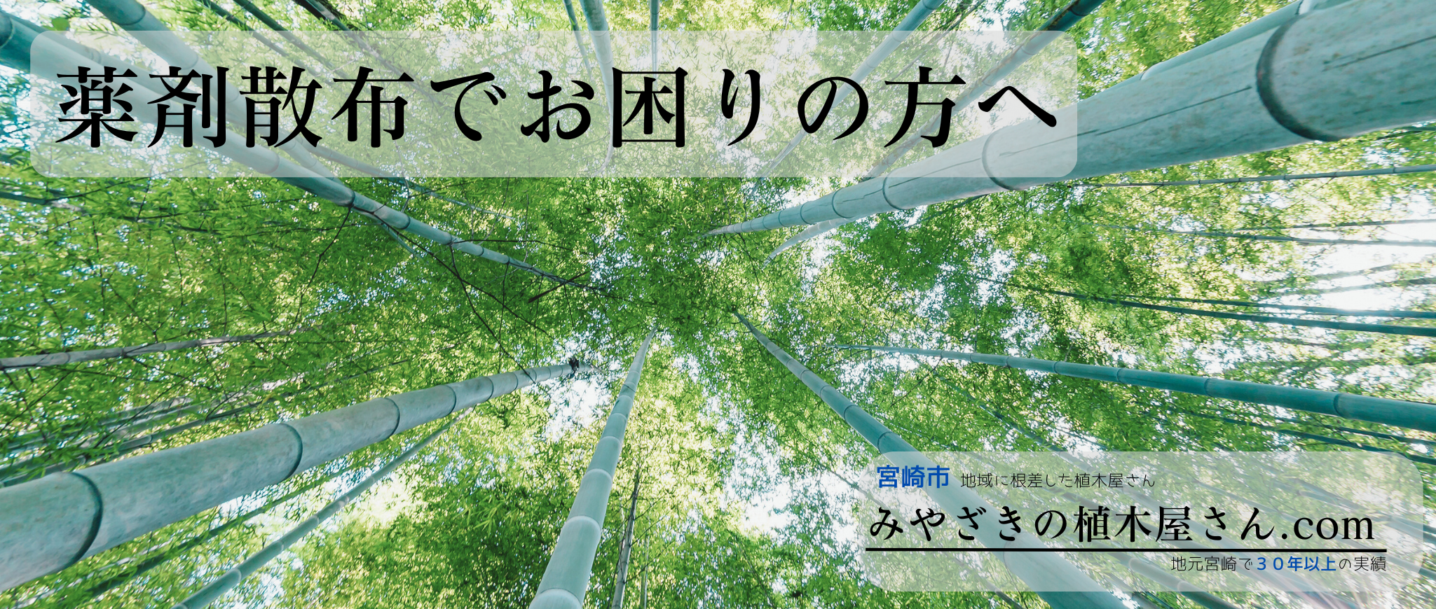 ※画像名